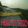 Нешто лепо