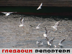 Гледаоци репортери (29. децембар 2014)