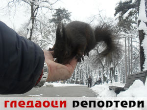 Гледаоци репортери (31. децембар 2014)