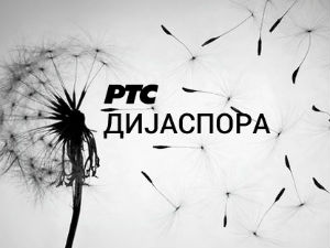 Куда иде наша младост
