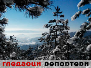 Гледаоци репортери (10. јануар 2015)