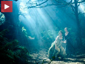 Сви у „Зачарану шуму“ 15. јануара!