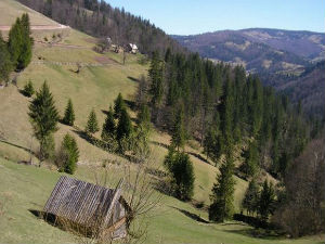 У средишту пажње