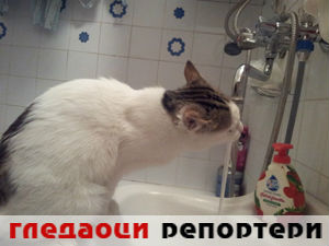 Гледаоци репортери (22. јануар 2015)