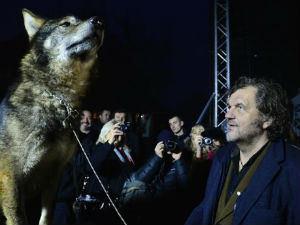 Црвени тепих, прави вук и филмски вукови на отварању