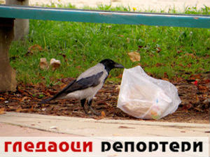 Гледаоци репортери (24. јануар 2015)