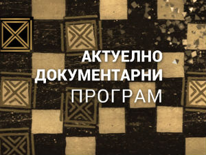 Живот и стандарди: Липљанске вињете