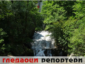 Гледаоци репортери (2. фебруар 2015)