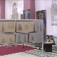 Жикина шареница
