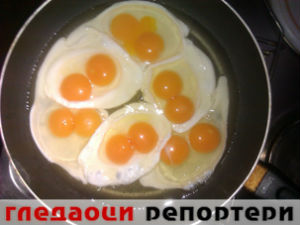 Гледаоци репортери (13. фебруар 2015)