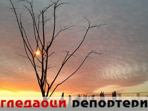 Гледаоци репортери (25. фебруар 2015)