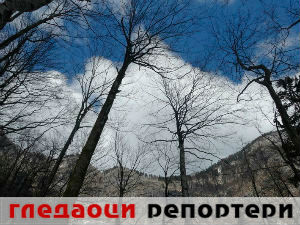 Гледаоци репортери (7. март 2015)