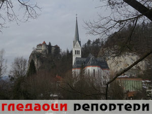 Гледаоци репортери (8. март 2015)