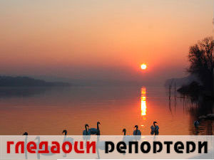 Гледаоци репортери (11. март 2015)