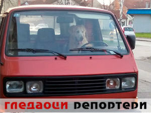 Гледаоци репортери (18. март 2015)