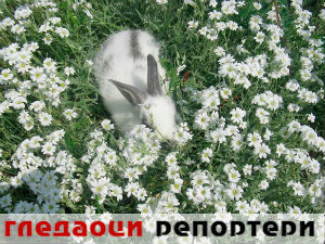 Гледаоци репортери (21. март 2015)