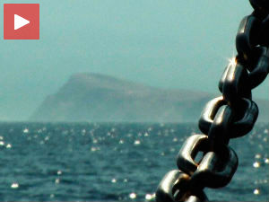 Документарац о Голом отоку отвара 62. БФДКФ