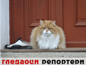 Гледаоци репортери (22. март 2015)