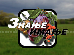Знање имање