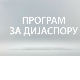 Медијска мрежа српске дијаспоре: Амерички сан