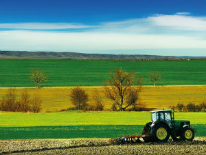 У средишту пажње
