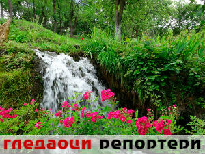 Гледаоци репортери (29. март 2015)