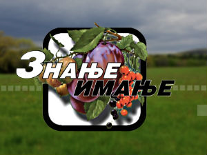 Знање имање