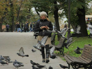 У ходу: Живот на маргини