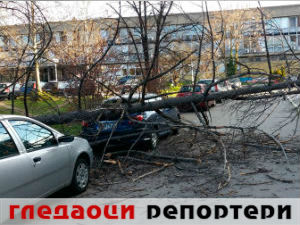 Гледаоци репортери (4. април 2015)