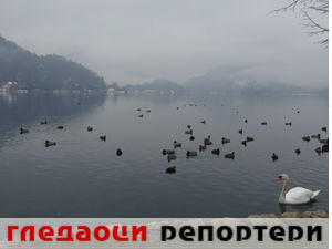 Гледаоци репортери (6. април 2015)