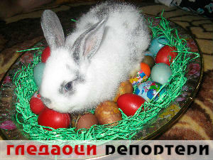 Гледаоци репортери (10. април 2015)