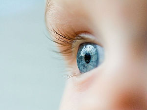 У средишту пажње