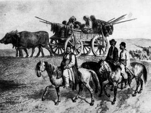 Романо Тхем