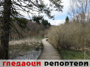 Гледаоци репортери (18. април 2015)