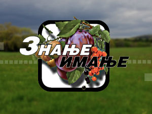 Знање имање