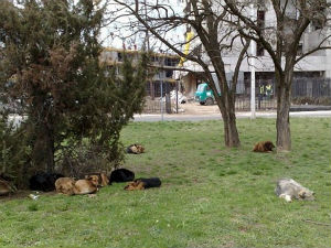 У средишту пажње