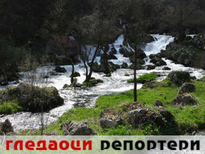 Гледаоци репортери (27. април 2015)