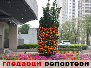 Гледаоци репортери (28. април 2015)