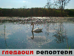 Гледаоци репортери (29. април 2015)