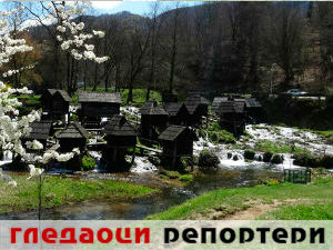 Гледаоци репортери (1. мај 2015)