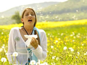 У средишту пажње