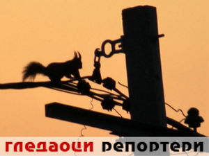 Гледаоци репортери (6. мај 2015)