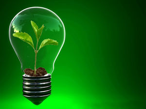 У средишту пажње