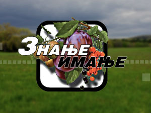 Знање имање