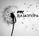 Медијска мрежа српске дијаспоре: Разгледница из Америке