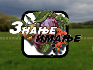 Знање имање