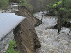 У средишту пажње