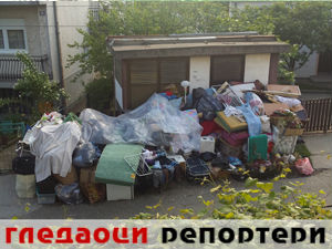 Гледаоци репортери (14. мај 2015)