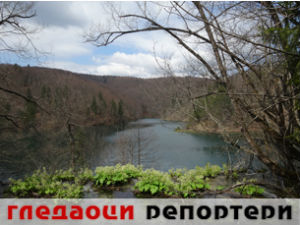 Гледаоци репортери (17. мај 2015)