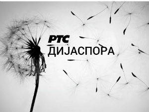 Медијска мрежа српске дијаспоре: Амерички сан